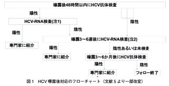 HCV暴露後検査の進め方.jpg
